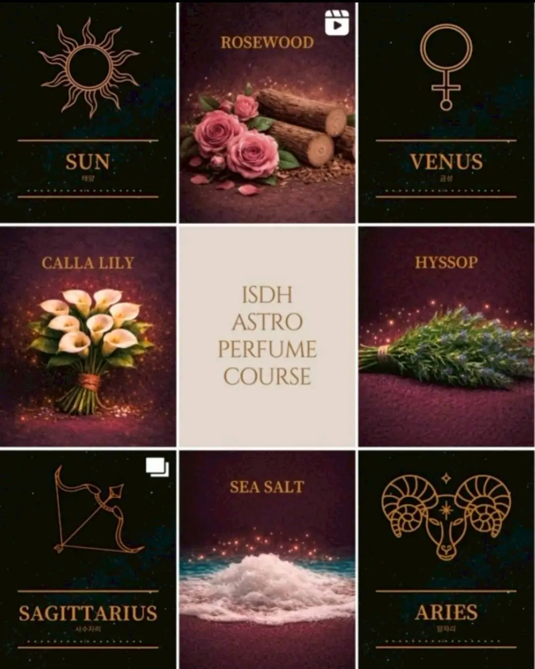 【韓國 ISDH】星座調香學：解構星盤軌跡，建立人格與氣味的設計系統